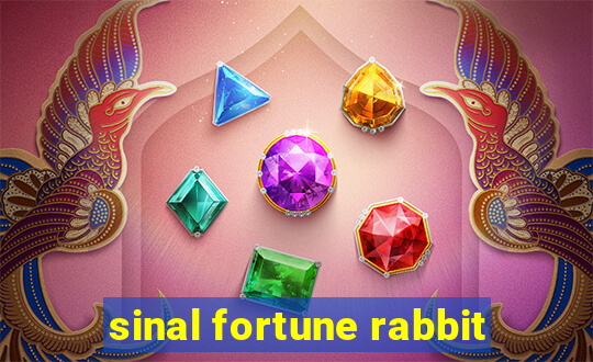 sinal fortune rabbit